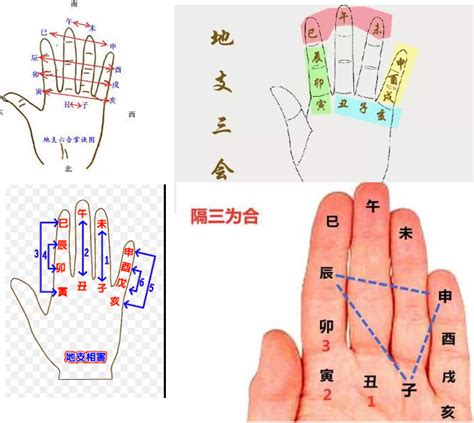 天干手掌|教你利用手掌快速记下天干相合，地支合、冲、害